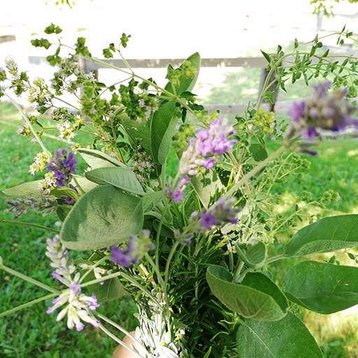 erbe Agriturismo Cà Dulza