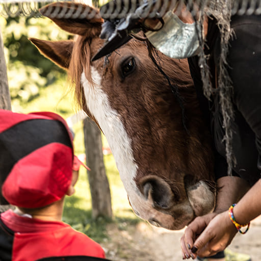 laboratori bambini animali cavallo Agriturismo Cà Dulza